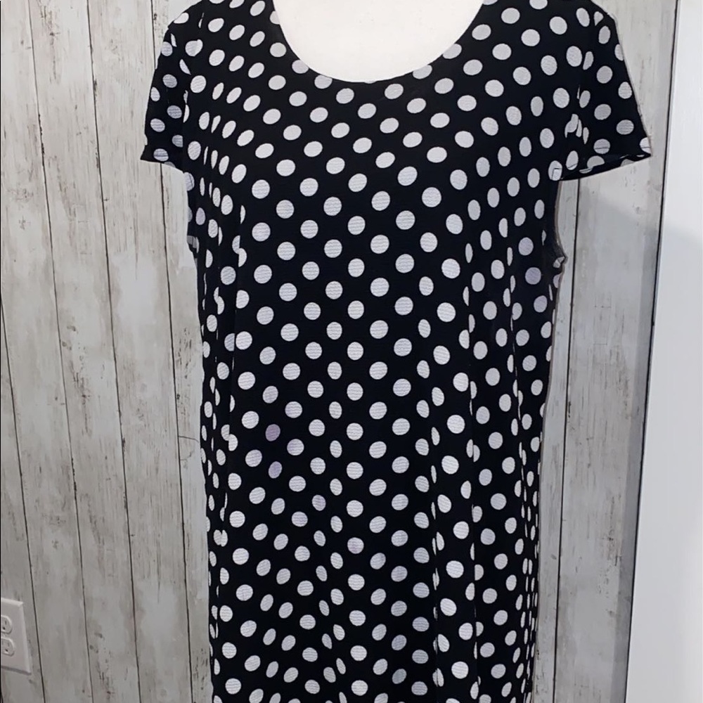 Miami Francescas Polka Dot Dress Size L